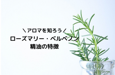 メディカルアロマレシピつき ローズマリー ベルベノン精油の特徴と効果 嗅覚反応分析 メディカルアロマ 福岡 北九州 30代からの 体質改善 Brest